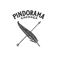 APOIO (9).png
